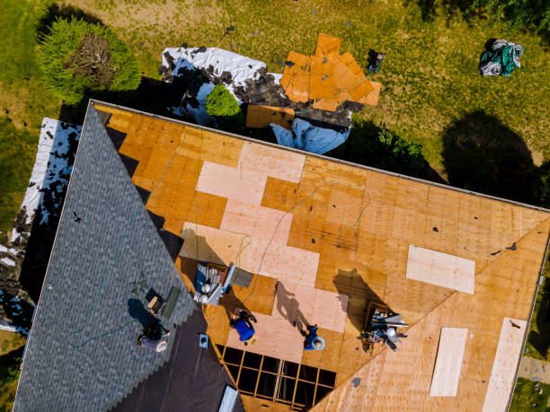 Best Roof Gutter Cleaning  in Morgan City, LA