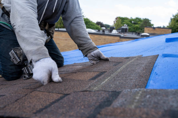 Best Flat Roof Repair Services  in Morgan City, LA
