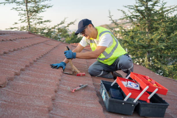 Professional Roofing Contractor in Morgan City, LA
