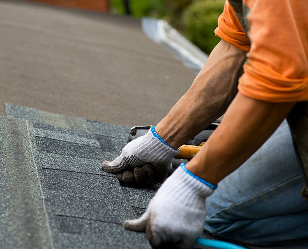 Best Local Roofing Companies  in Morgan City, LA