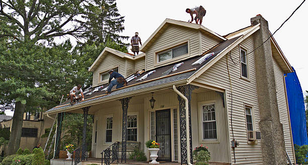 Best Metal Roofing Contractor  in Morgan City, LA